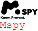 Mspy Google Kijewo Szcecin